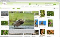 Neue Version vom GloblBASE Client